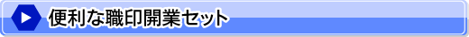 便利な職印開業セット 